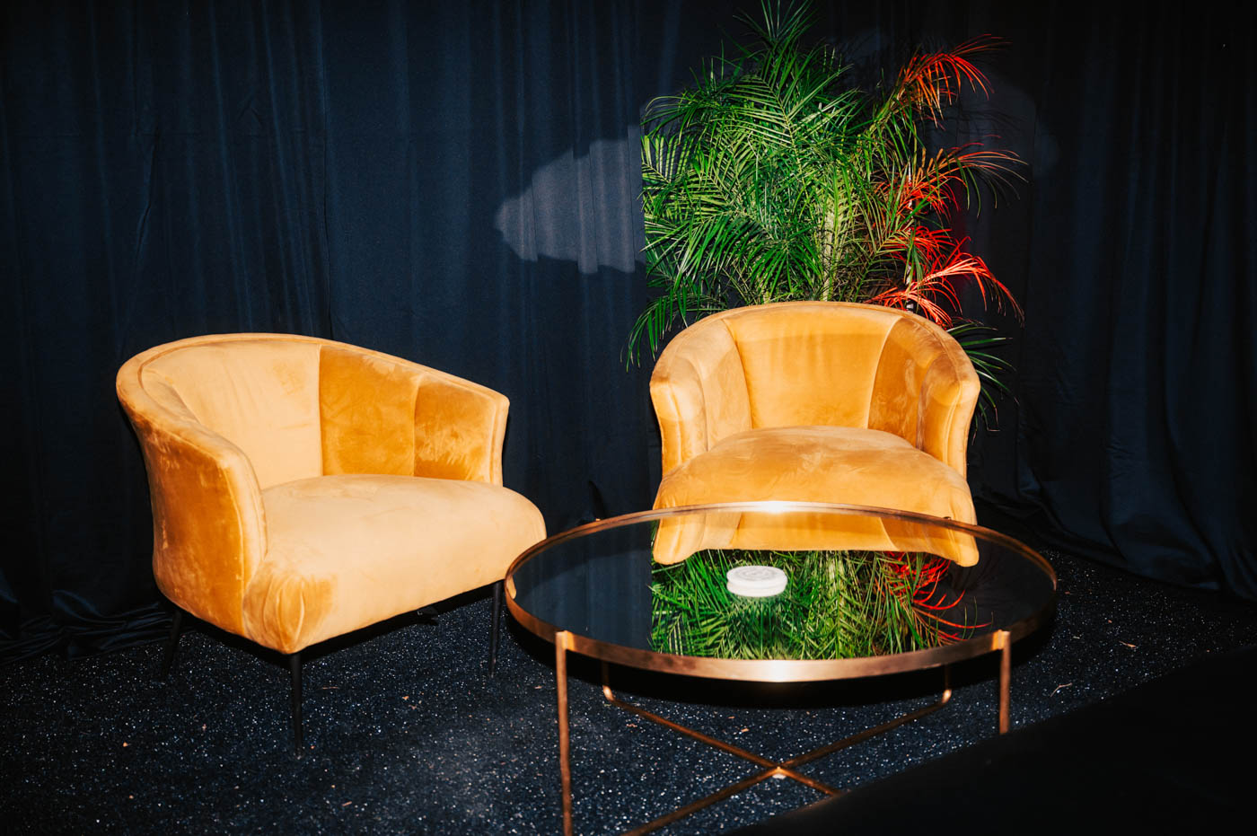 Capital Club_Aftershock_1004-2025_@nathanzucker_NZ4_7273