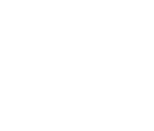 American Socks Logo_White