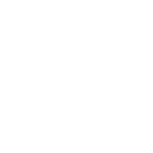 sbgrecordsWht